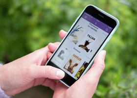 Bookbites - lese og lytteapp for bøker - Klikk for stort bilete